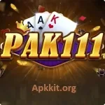 PAK 111 Game APK (Latest Version) v1.0 Free Download
